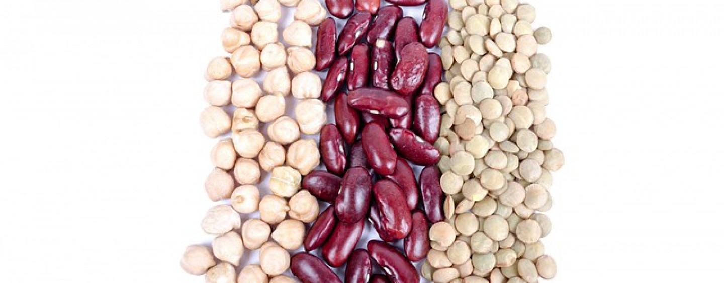 Magnesium
