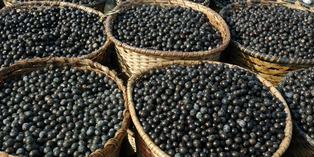 Acai - lecker und gesund