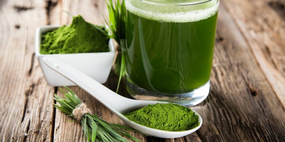 Chlorella kaufen für Detox und gesunde Ernährungegel