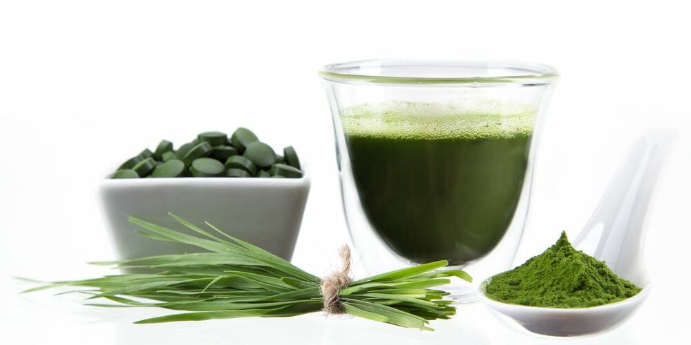 Chlorella - Detox Mittel