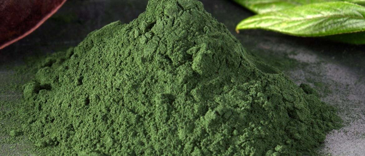 Spirulina Pulver