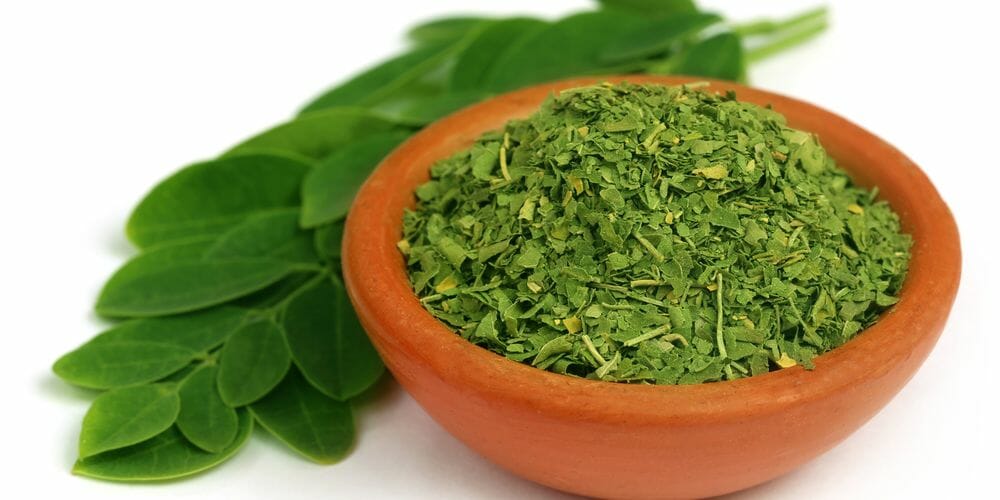 Ist Moringa die Nährstoffreichste Pflanze der Welt?