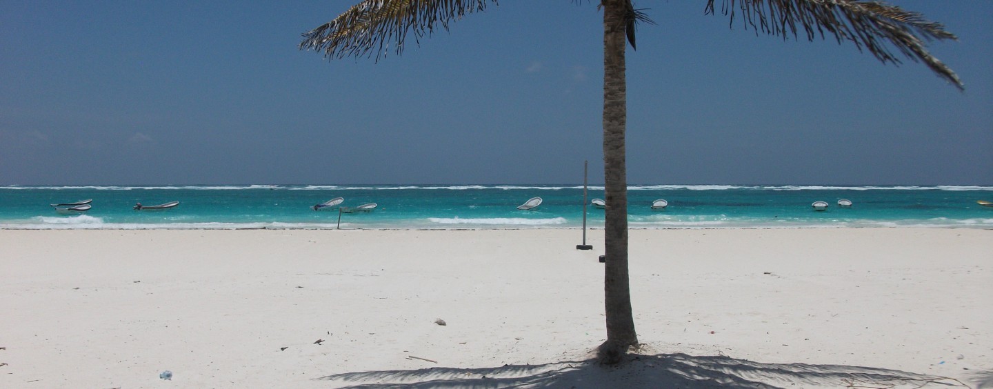 Vitamin D – Das Sonnenvitamin
