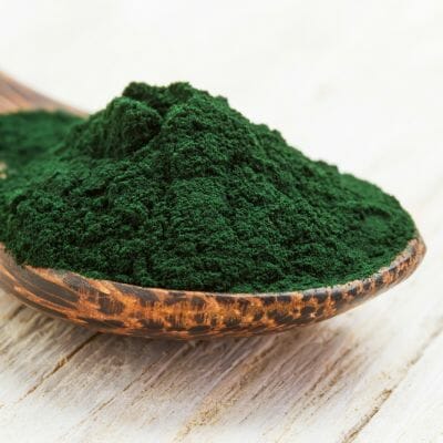 Spirulina nicht Alge sondern Bakterium