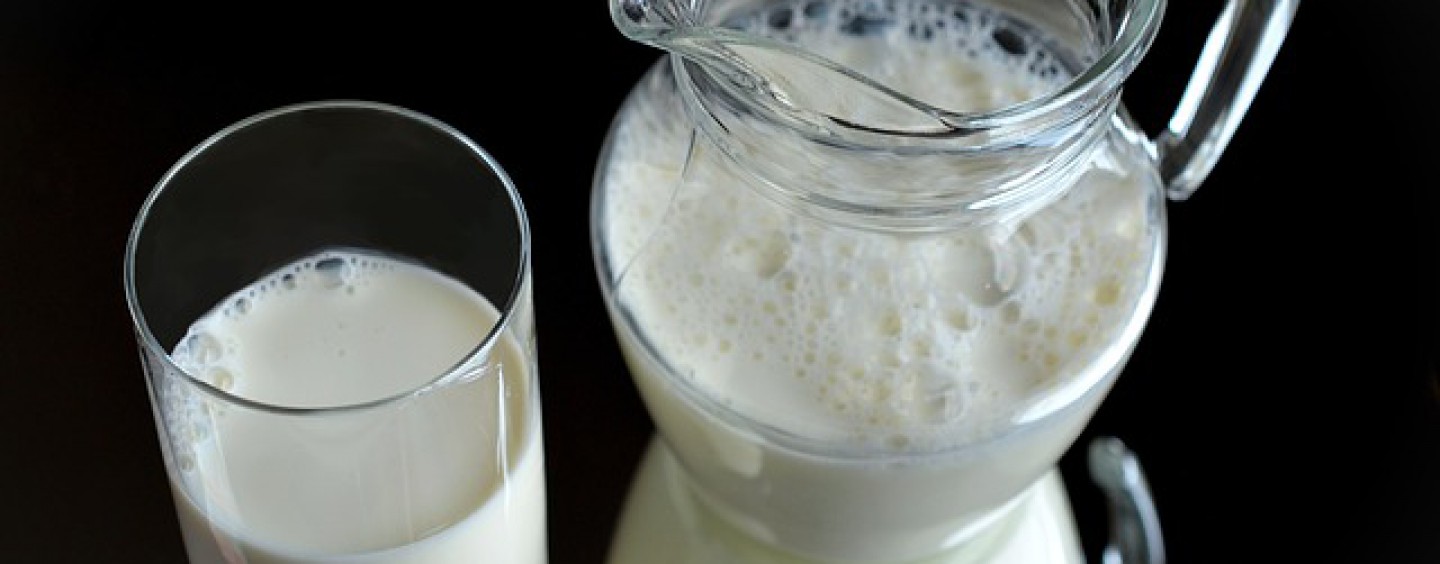 Calcium – Baustoff des Lebens