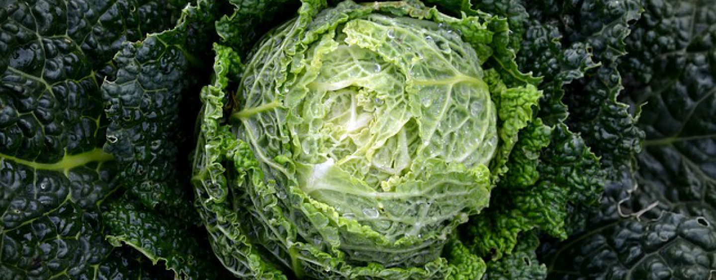 Vitamin K