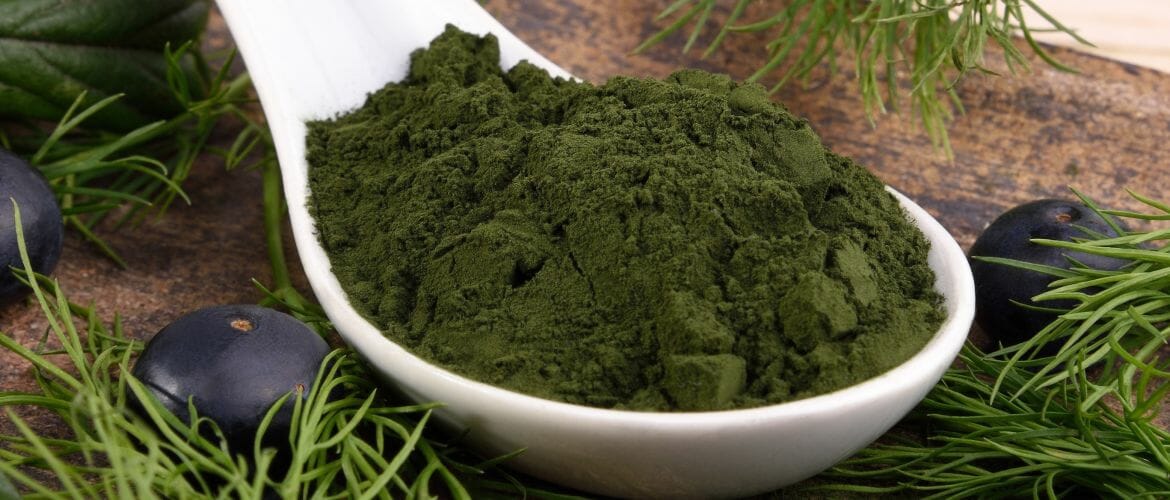 Chlorella