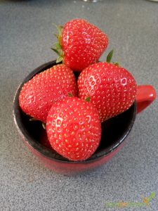 Grundlage für unser selbst gemachtes Eis: Erdbeeren