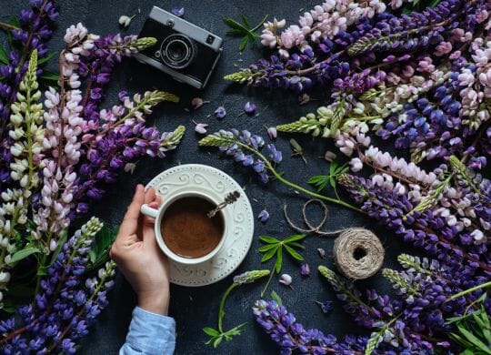 Lupinienkaffe