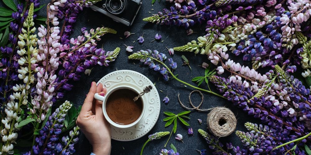 Lupinienkaffe
