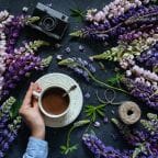 Lupinienkaffe