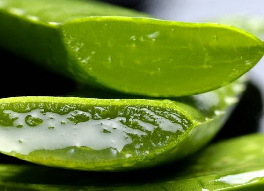 aloe vera saft