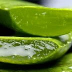 aloe vera saft